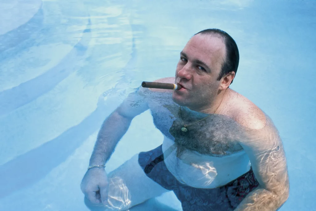 Tony Soprano smoking a cigar in the pool. (Not me)